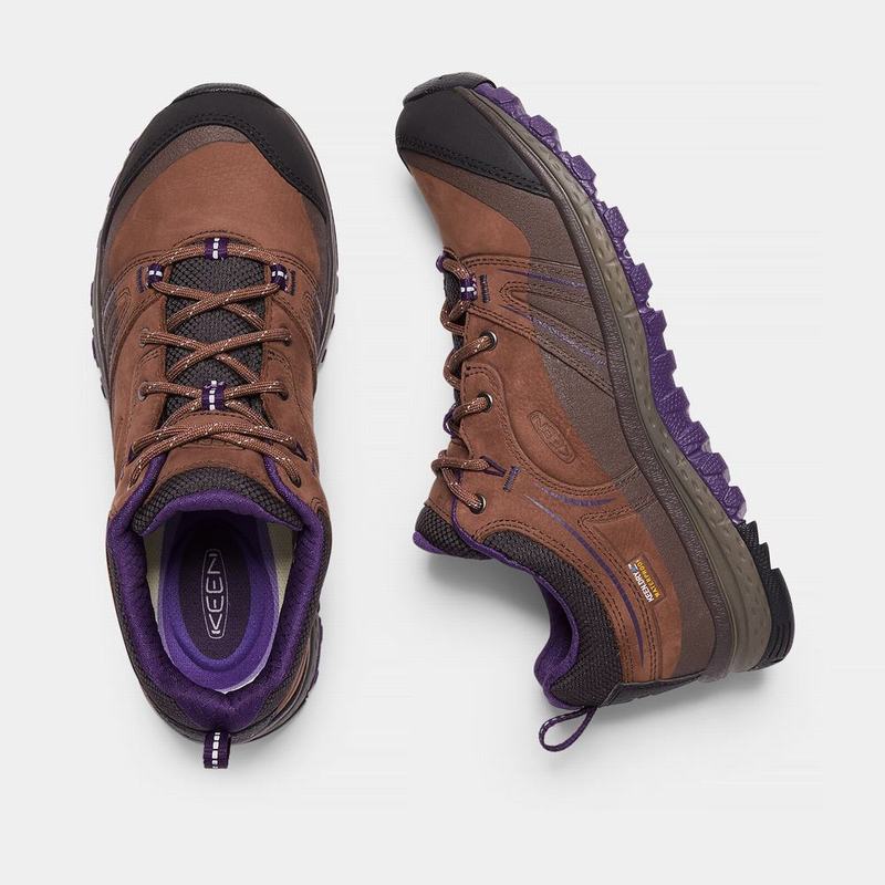 Keen Terradora Deri Waterproof - Kadın Trekking Ayakkabısı - Kahverengi/Mor - Türkiye (018943XCO)